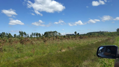 Image 8 - 926125