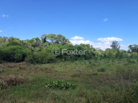 Image 7 - 926125