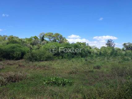 Image 11 - 926125