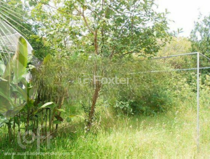 Image 43 - 927765
