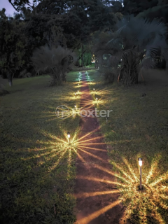 Image 24 - 927804