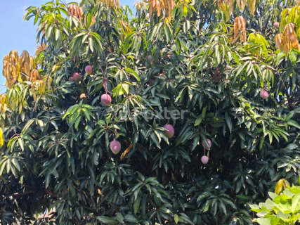 Image 29 - 927804