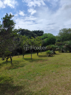 Image 32 - 927804