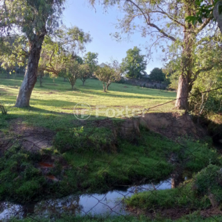 Image 25 - 929776