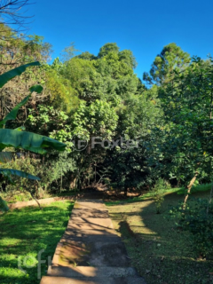 Image 36 - 931910
