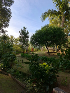 Image 31 - 933838