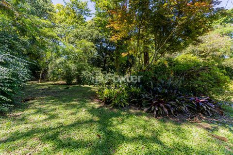 Image 41 - 942374
