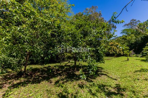 Image 56 - 942374