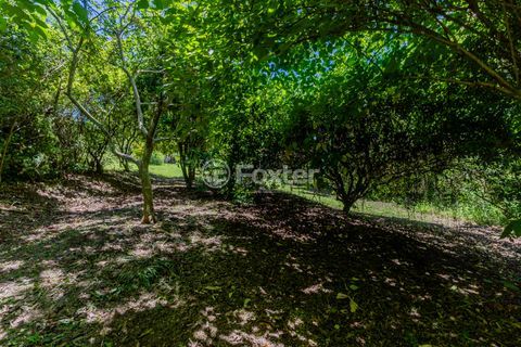 Image 101 - 942374