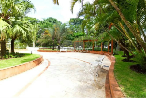Image 26 - 946556