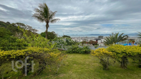 Image 39 - 953607