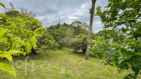Image 35 - 953607