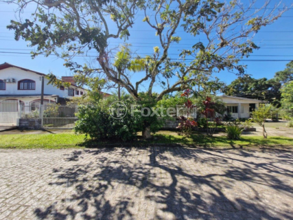 Image 36 - 954229