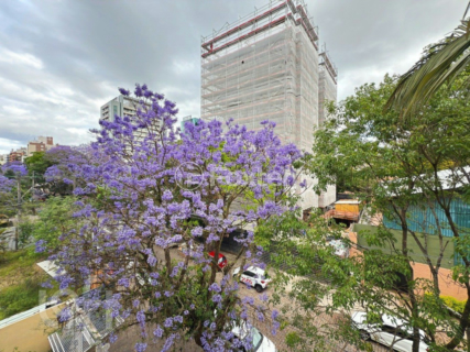 Image 27 - 954402