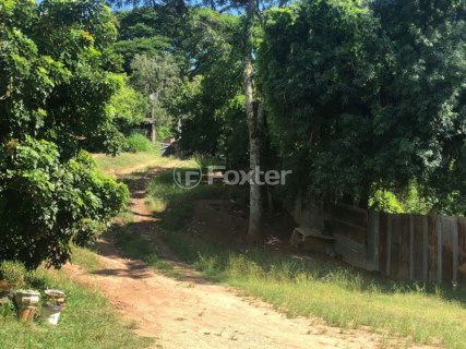 Image 2 - 954625
