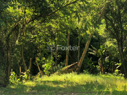 Image 7 - 954625