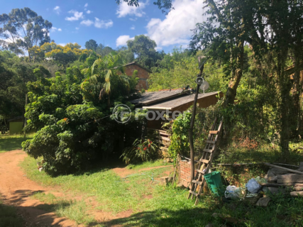 Image 5 - 954625