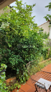Image 9 - 954625
