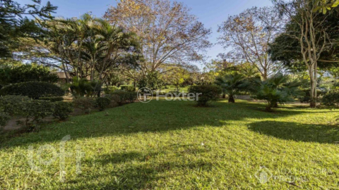 Image 38 - 954771