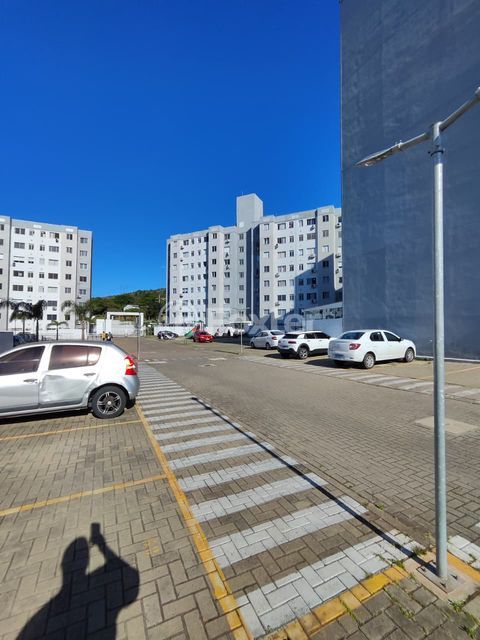 Image 20 - 955033
