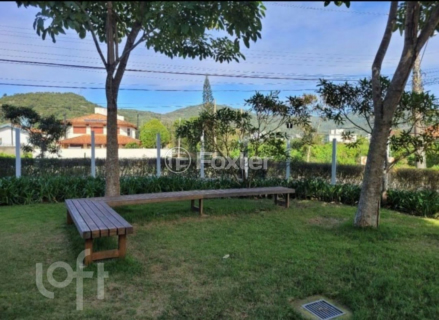Image 21 - 955039