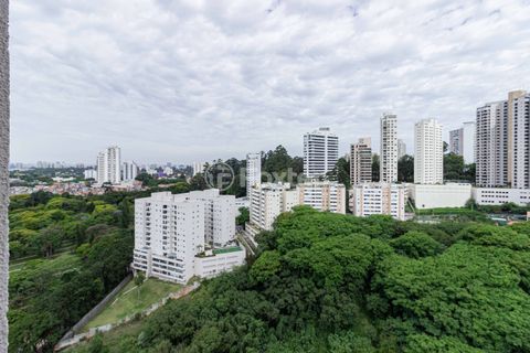 Image 28 - 955519