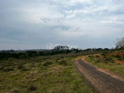 Image 3 - 955992