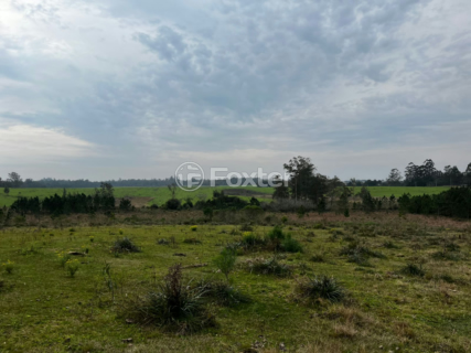 Image 6 - 955992