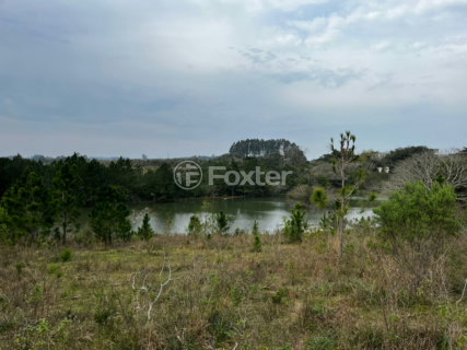 Image 7 - 955992