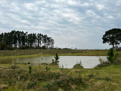 Image 1 - 955992