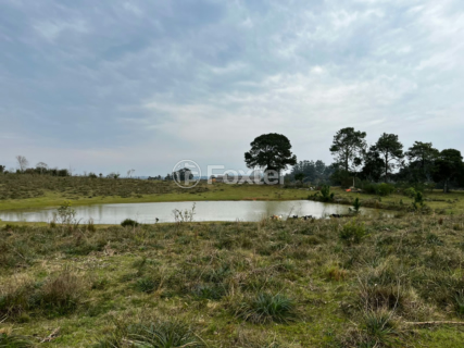 Image 5 - 955992