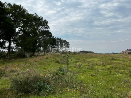 Image 2 - 955992