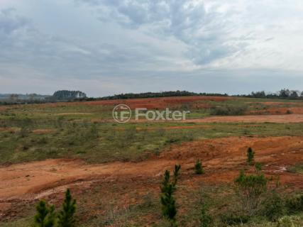 Image 4 - 955992