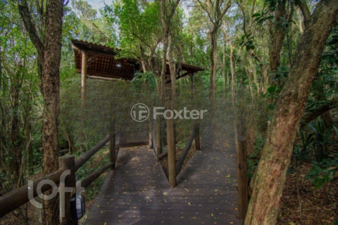 Image 41 - 956360