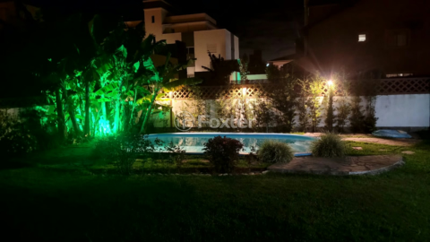 Image 24 - 956948
