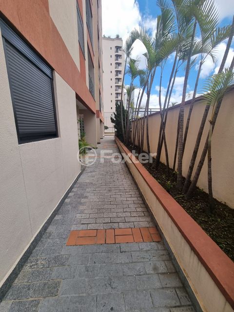 Image 41 - 958454