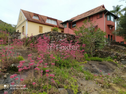 Image 95 - 959820