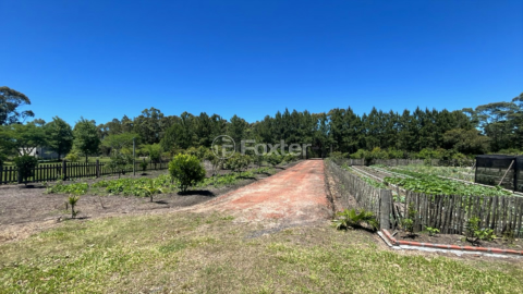 Image 14 - 966118
