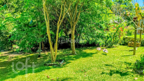 Image 42 - 966227