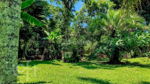 Image 41 - 966227