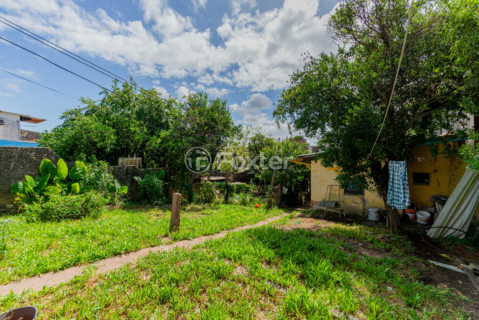 Image 36 - 966383