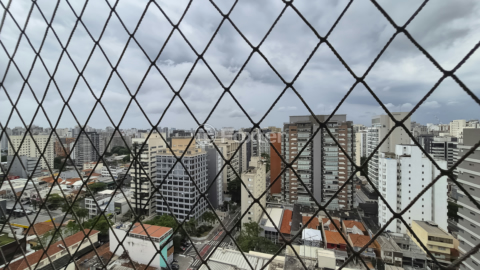 Image 30 - 966484