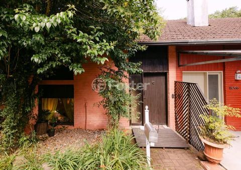 Image 33 - 969214