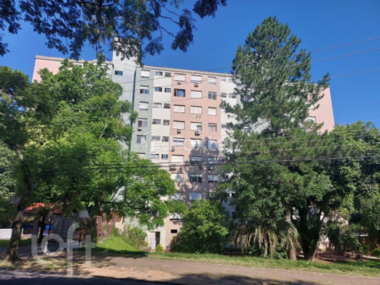 Image 25 - 969481