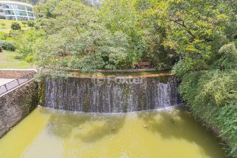 Image 26 - 971813
