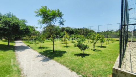 Image 50 - 971865