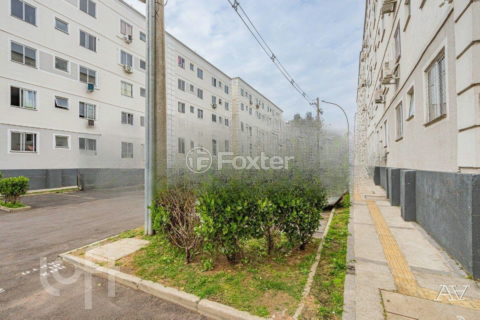 Image 33 - 972305