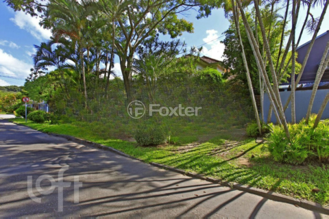 Image 30 - 972317