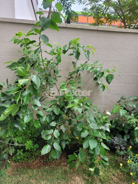 Image 30 - 973482