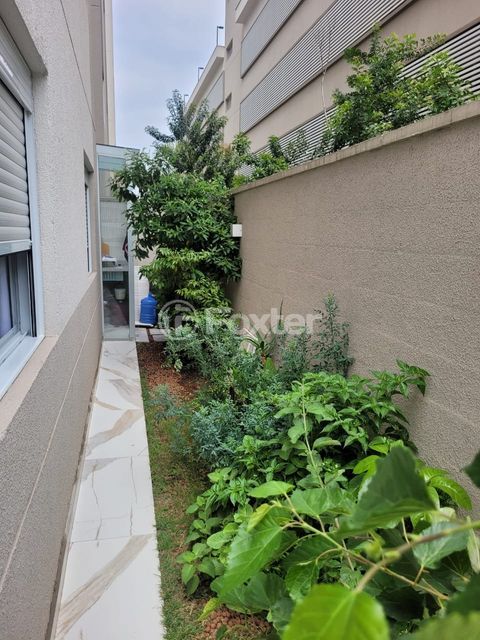 Image 34 - 973482